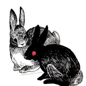 Black Rabbit